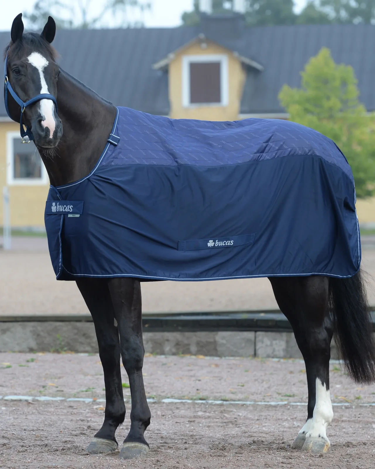 Bucas Therapy Cooler - Image 2