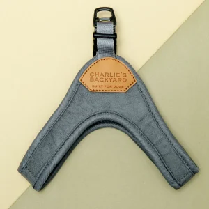 Buckle Up Easy Dog Harness in Gray