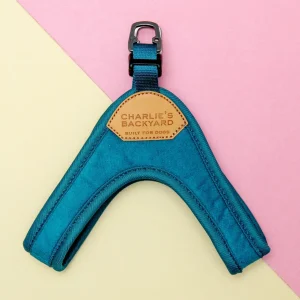 Buckle Up Easy Dog Harness in Teal