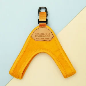Buckle Up Easy Dog Harness in Yellow