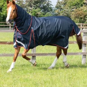 Buster 150g Turnout Rug with Classic Neck Cover Navy