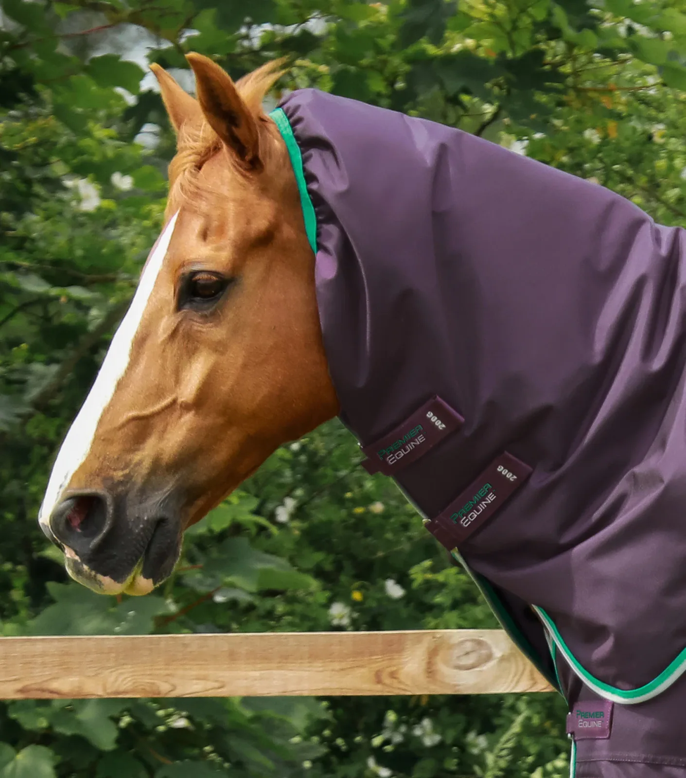 Buster 200g Neck Cover (200g Fill) Purple