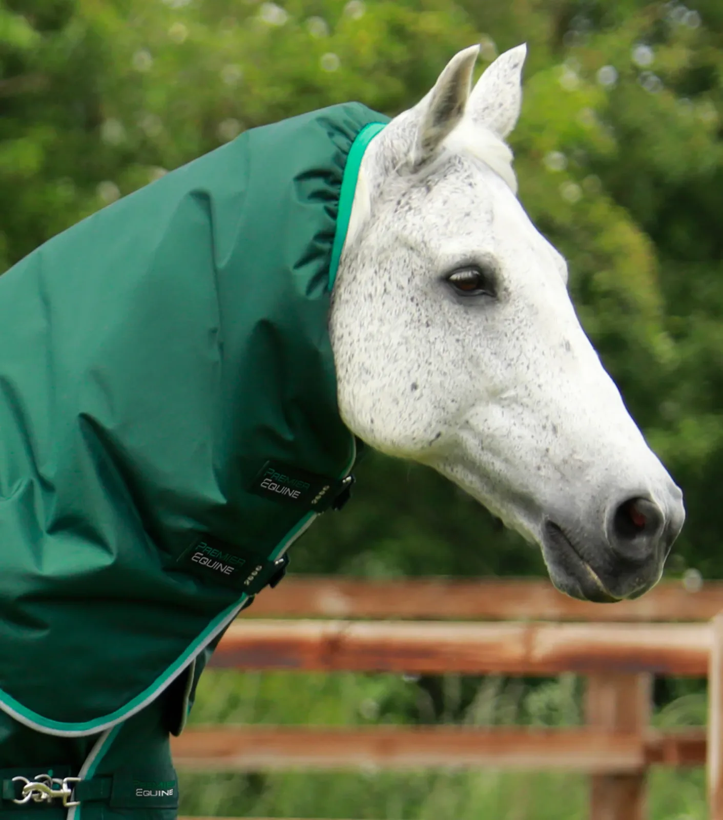 Buster 200g Turnout Rug with Snug-Fit Neck Cover Green - Image 2