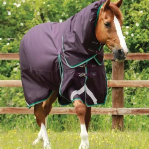 Buster 200g Turnout Rug with Snug-Fit Neck Cover Purple