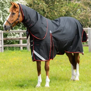 Buster 250g Turnout Rug with Classic Neck Cover Black