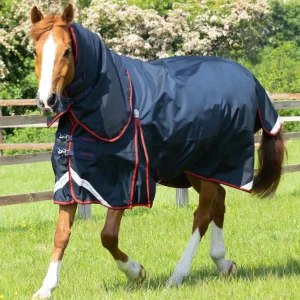 Buster 250g Turnout Rug with Classic Neck Cover Navy