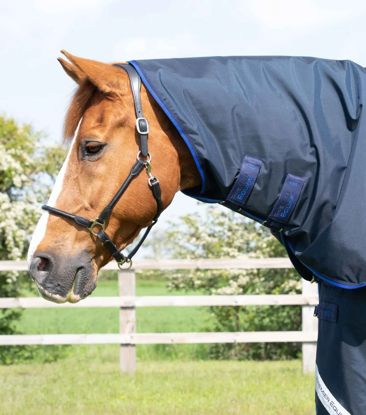 Buster 40g Classic Neck Cover (40g Fill) Navy