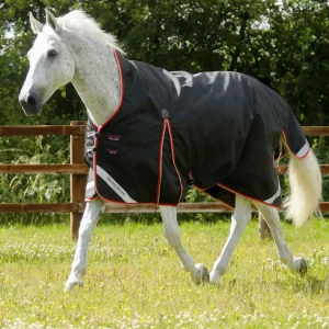 Buster Hardy 100g Half Neck Turnout Rug Black