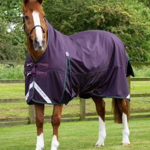 Buster Hardy 100g Half Neck Turnout Rug Purple