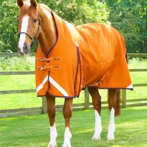 Buster Hardy 200g Half Neck Turnout Rug Burnt Orange
