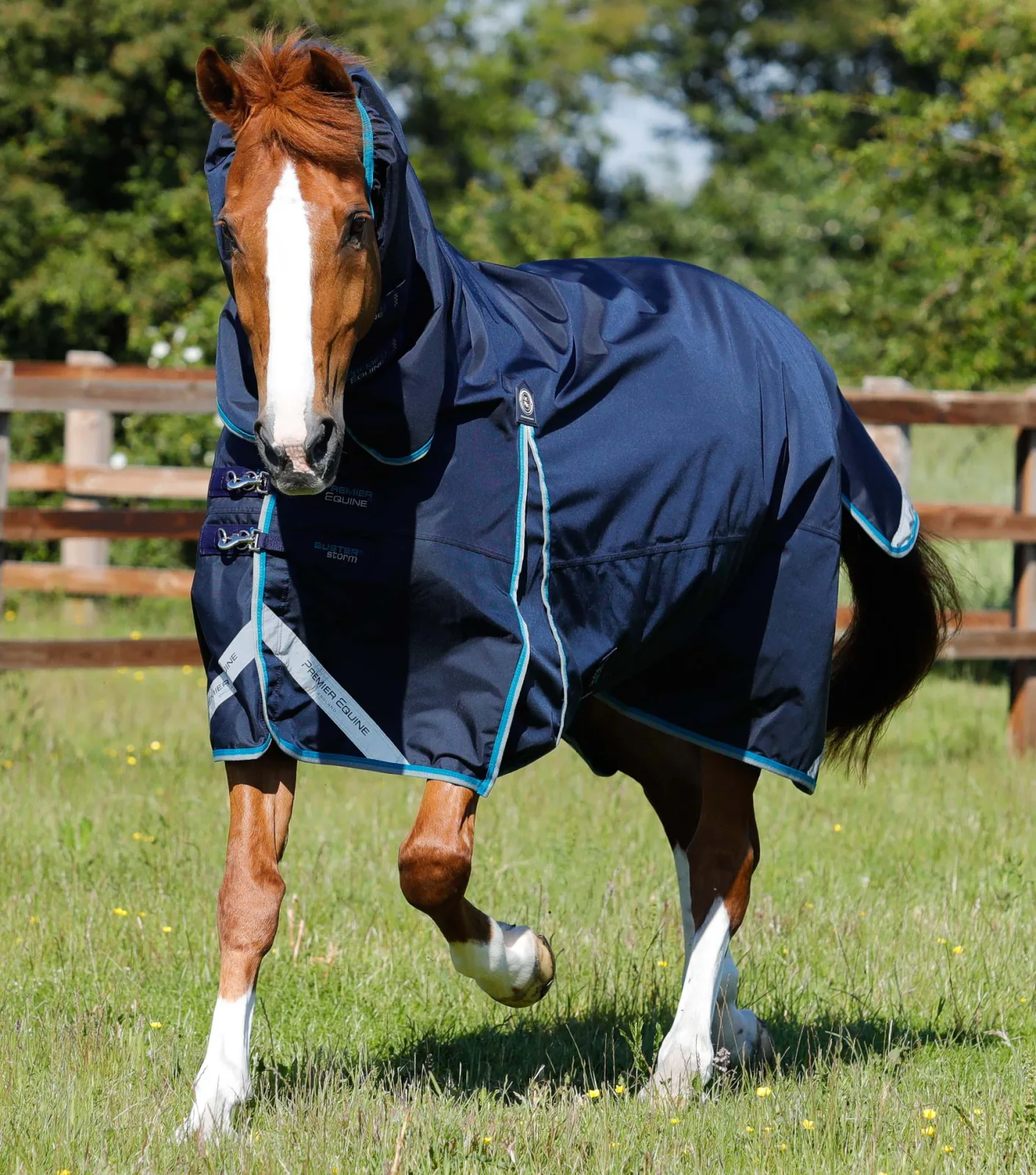 Buster Storm 100g Combo Turnout Rug with Snug-Fit Neck Navy