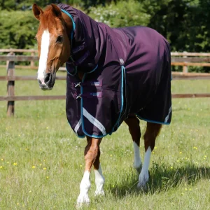 Buster Storm 100g Combo Turnout Rug with Snug-Fit Neck Purple