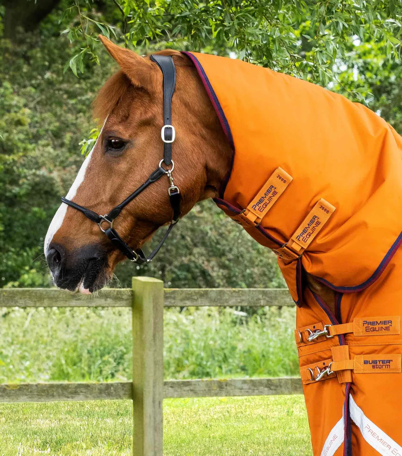 Buster Storm 200g Combo Turnout Rug with Classic Neck Burnt Orange - Image 2