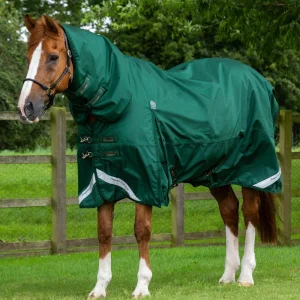 Buster Storm 220g Combo Turnout Rug with Classic Neck Green