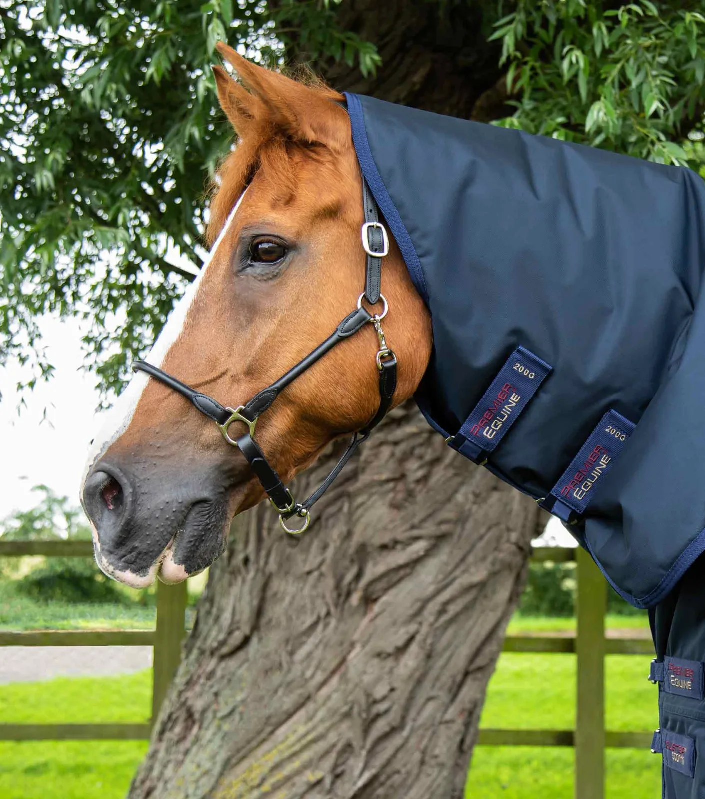 Buster Storm 220g Combo Turnout Rug with Classic Neck Navy - Image 2