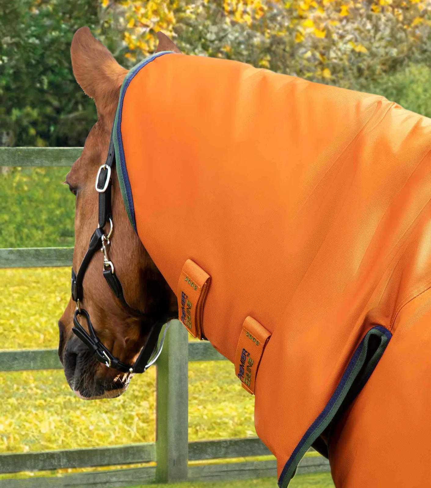 Buster Storm 400g Combo Turnout Rug with Classic Neck Burnt Orange - Image 2