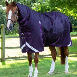 Buster Storm 420g Combo Turnout Rug with Classic Neck Purple