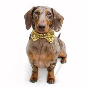 BUSTER'S PARTY SHOP | Gold Sequin Bow Tie