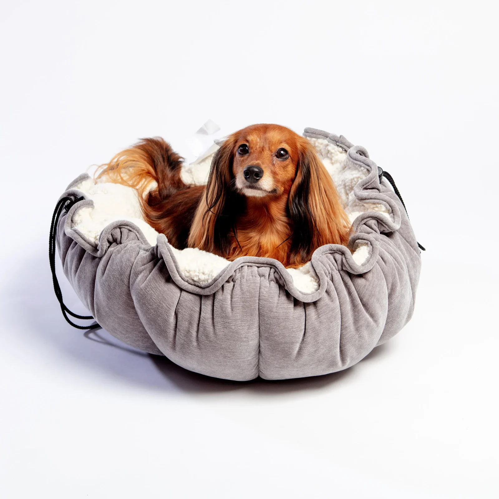 Buttercup Adjustable Pet Bed (Direct-Ship) - Image 2