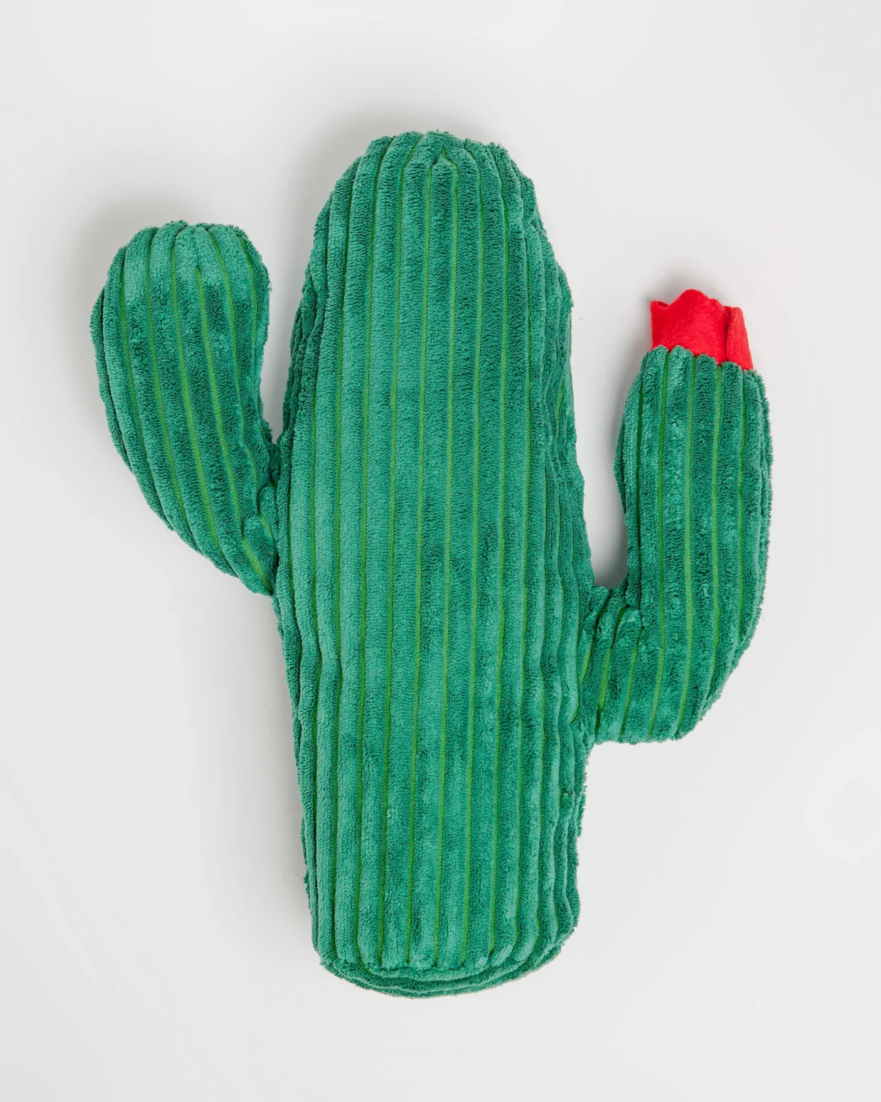 Cactus Plush Toy (FINAL SALE)