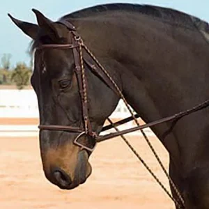 Camelot™ Chambon