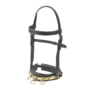 Camelot™ Leather Lunge Caveson