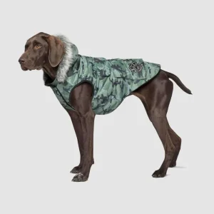Canada Pooch Everest Explorer Dog Vest