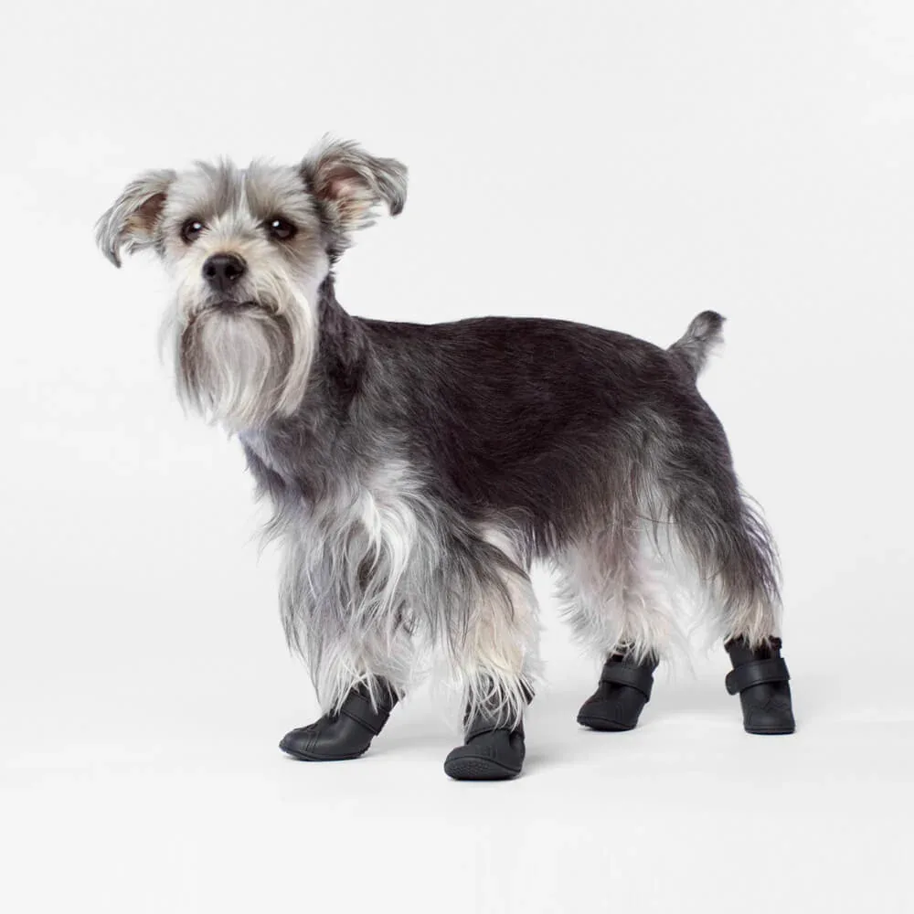 CANADA POOCH | Fleeced Lined Wellies Boots in Black - Image 2
