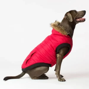 Canada Pooch North Pole Dog Parka