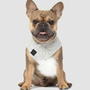 CANADA POOCH | Pom Pom Scarf in Snow Fox