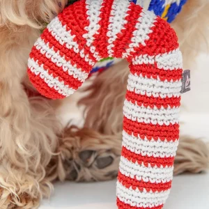 Candy Cane Organic Knit Dog Toy