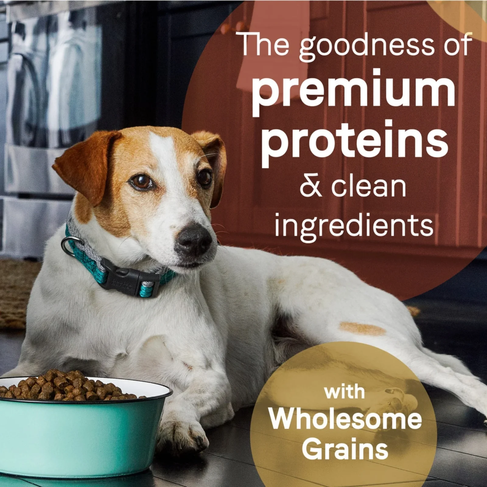 CANIDAE PURE goodness Wholesome Grains Dry Dog Food Lamb & Brown Rice 4lb - Image 2