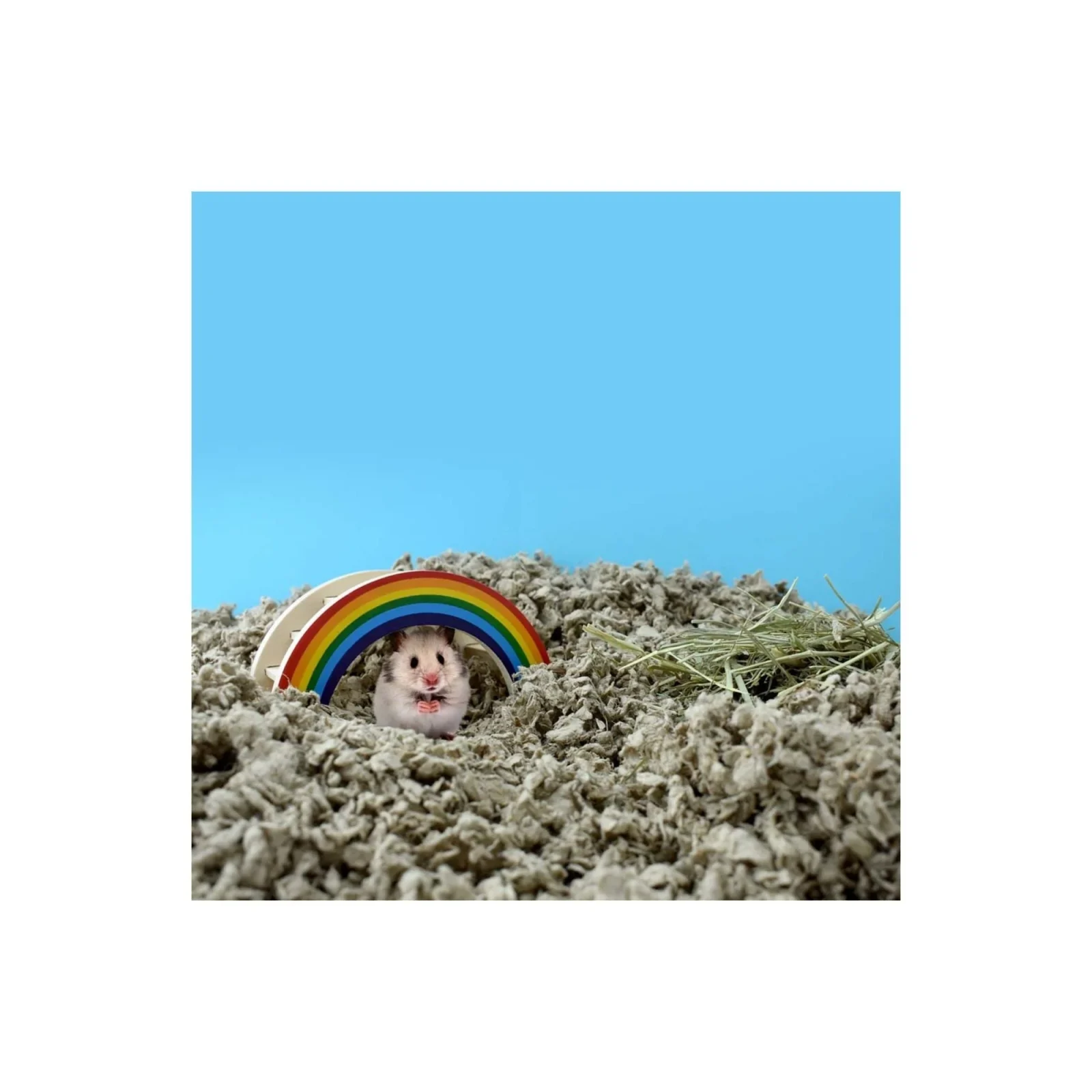 CareFRESH Complete Comfort Small Pet Bedding, Natural, 60 L - Image 2