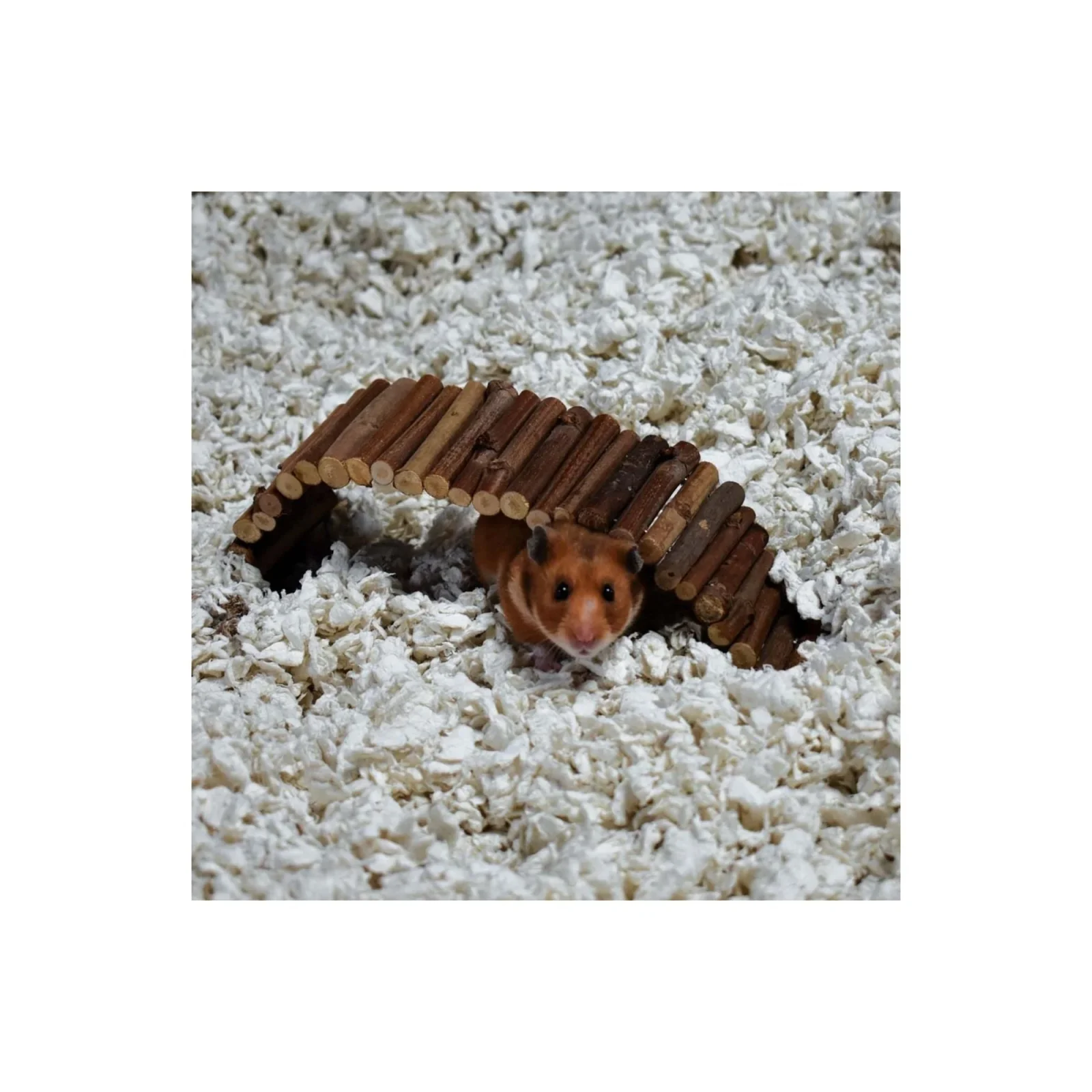 CareFRESH Complete Comfort Small Pet Bedding, White, 23 L - Image 2