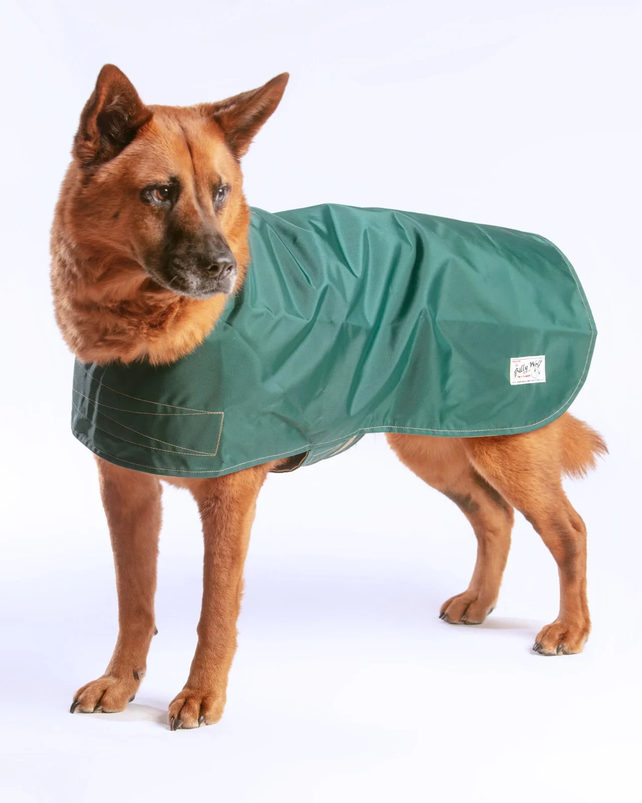 Carson Reversible Dog Raincoat in Green & Tan (Made in the USA) <>