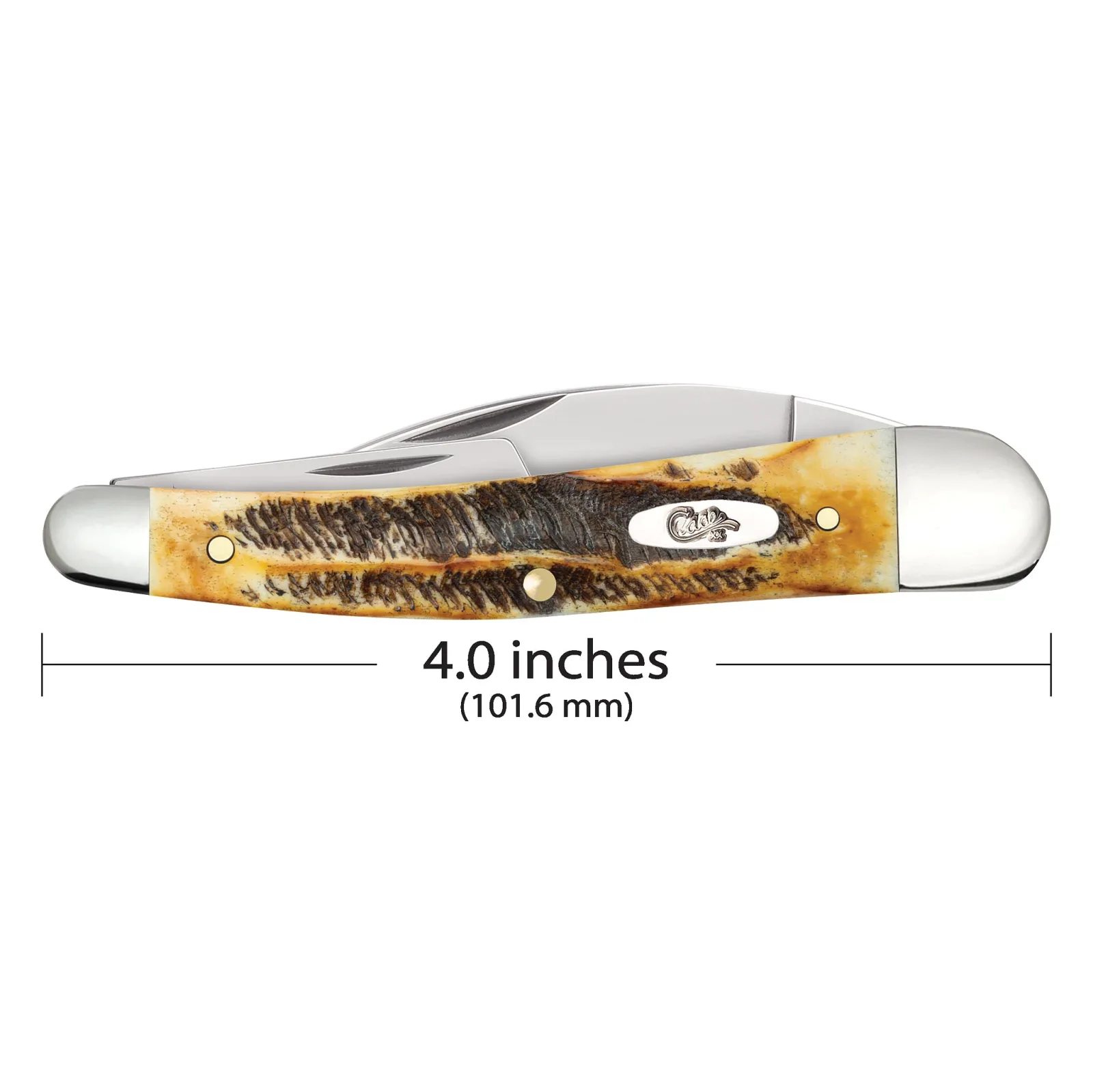 Case 6.5 BoneStag - Seahorse Whittler - Image 2