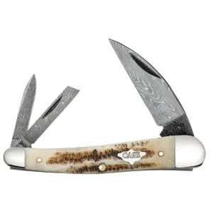 Case XX Seahorse Whittler Vintage Bone Pocket Knife CA77464