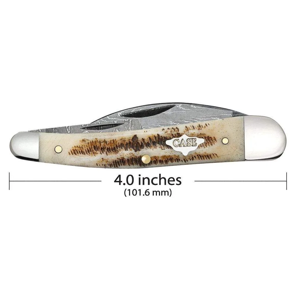 Case XX Seahorse Whittler Vintage Bone Pocket Knife CA77464 - Image 2