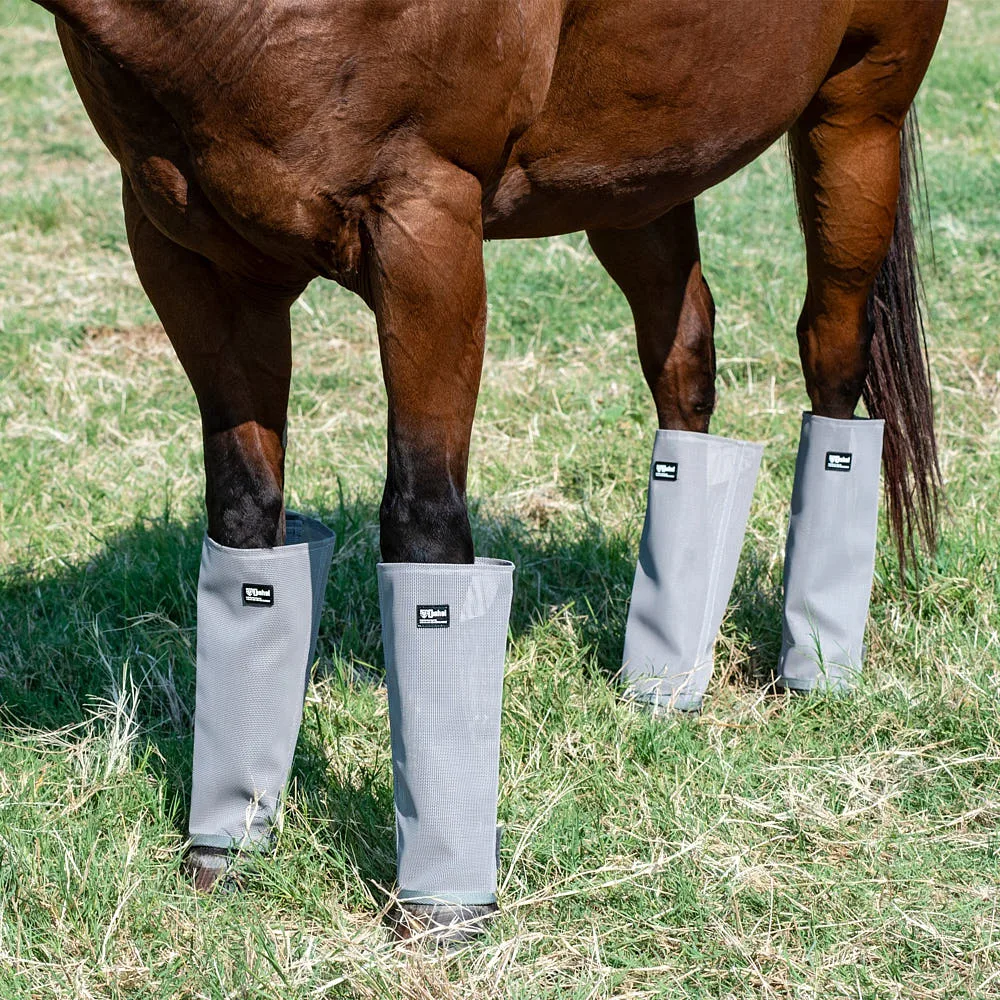 Cashel Company 4 Pack Pony Grey Leg Guards - Image 2