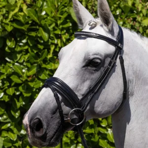 Castello Anatomical Snaffle Bridle with Flash Black