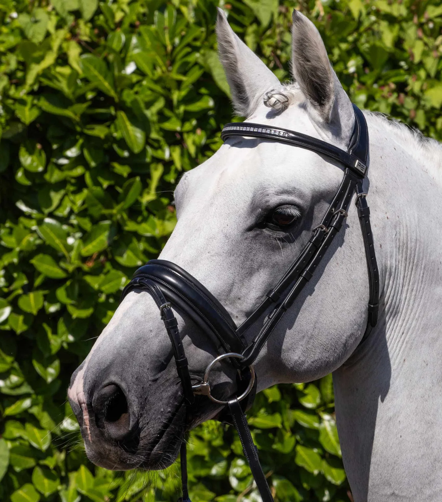 Castello Anatomical Snaffle Bridle with Flash Black