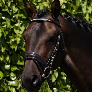 Castello Anatomical Snaffle Bridle with Flash Brown