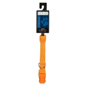 Casual Canine Dog Collar 10-16In Orange