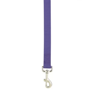 Casual Canine Lead 4FtX5/8In Purple
