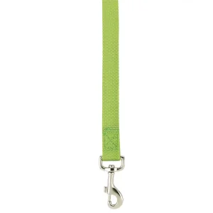 Casual Canine Lead 6FtX1In Light Green