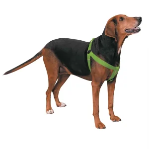 Casual Canine Nylon 2 Step Harness 9-15In Green