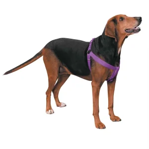Casual Canine Nylon 2 Step Harness 9-15In Purple