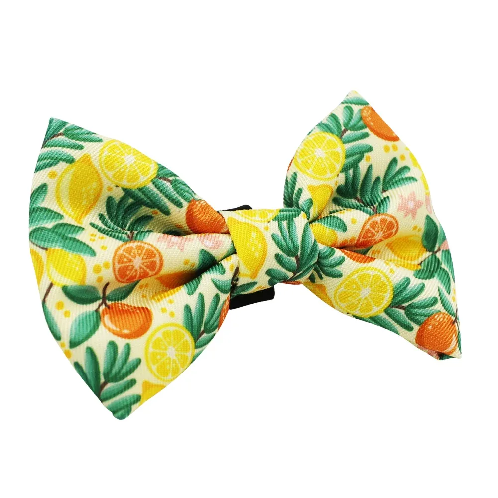 Cat Bowtie - Zest Friends - Image 2