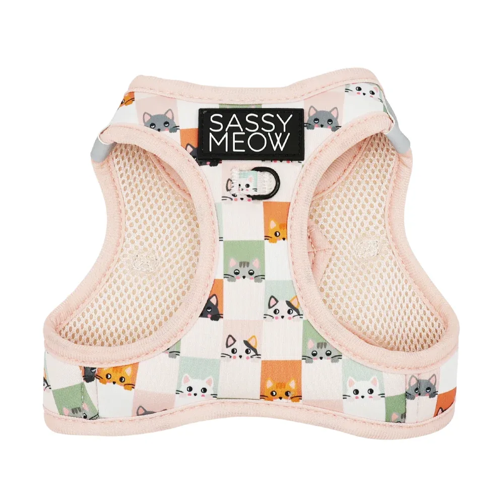 Cat Bundle - Smitten Kittens - Image 2
