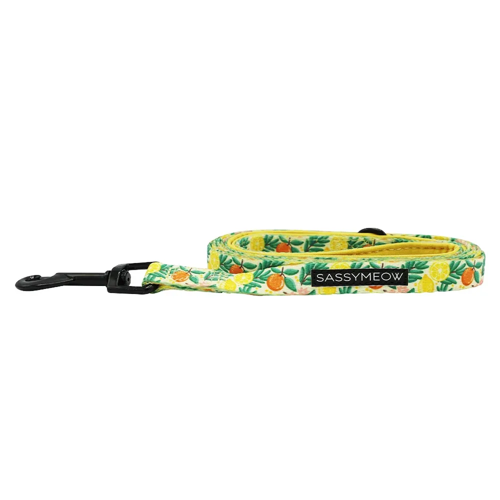 Cat Leash - Zest Friends - Image 2